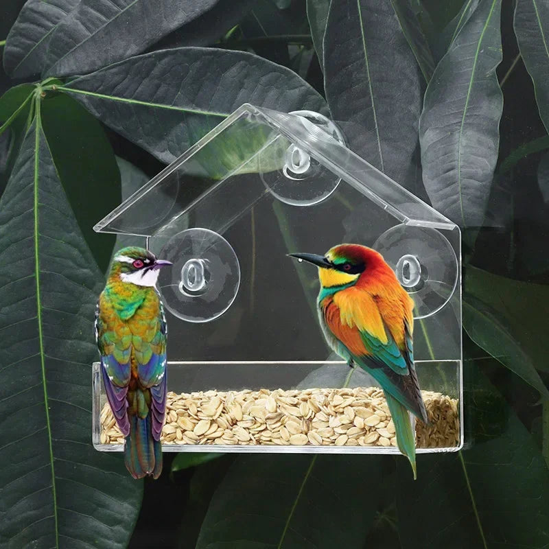 Feature Transparent Window Bird Feeder With Suction Cups