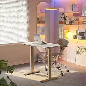 Adjustable 32 Inch Small Electric Standing Desk with Memory Height Settings