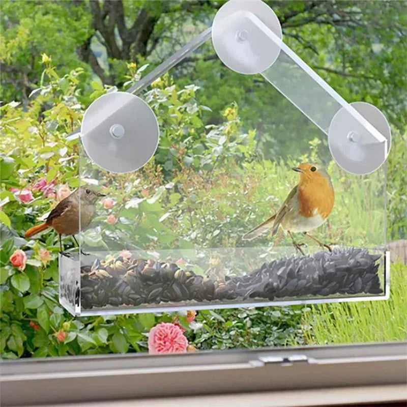 Feature Transparent Window Bird Feeder With Suction Cups