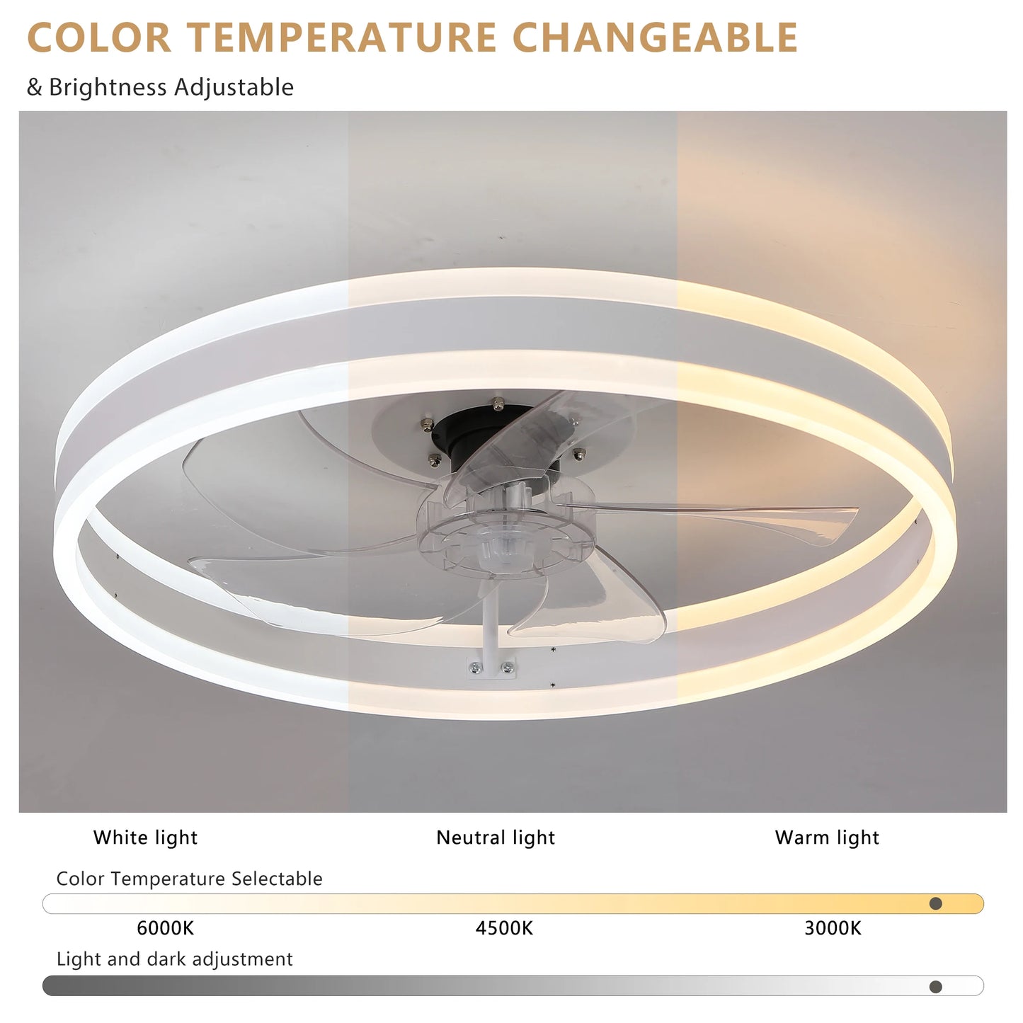 ARLGSITE Modern LED Ceiling Fan Light With Remote Control